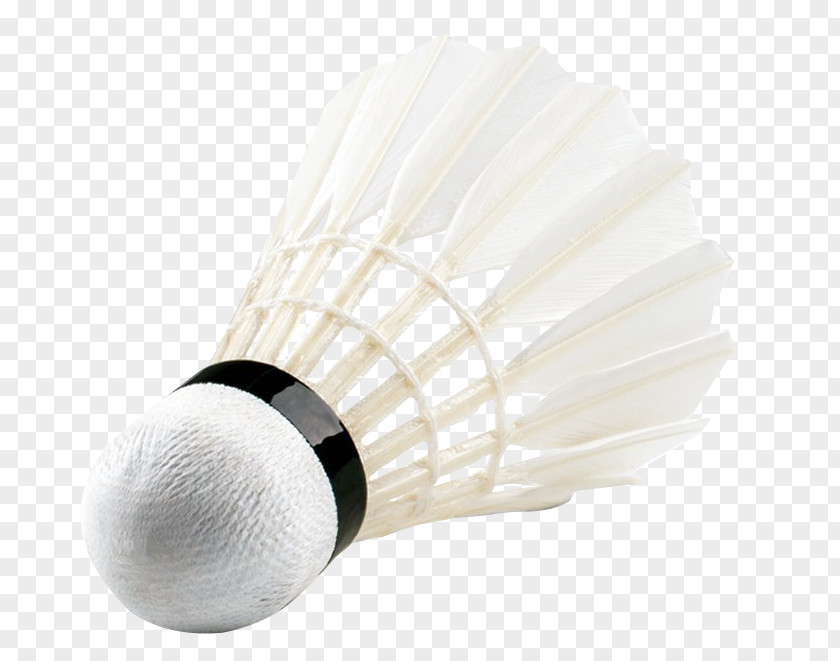 Badminton Shuttlecock Net Sport PNG