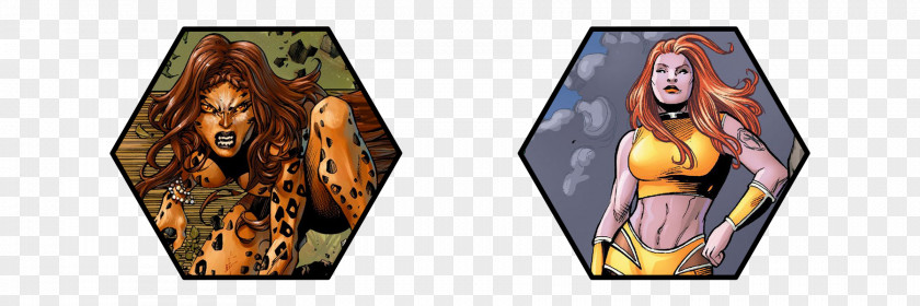 Cheetah Giganta Wonder Woman Legion Of Doom DC Comics PNG
