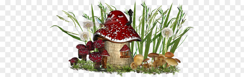 Fungus Clip Art PNG