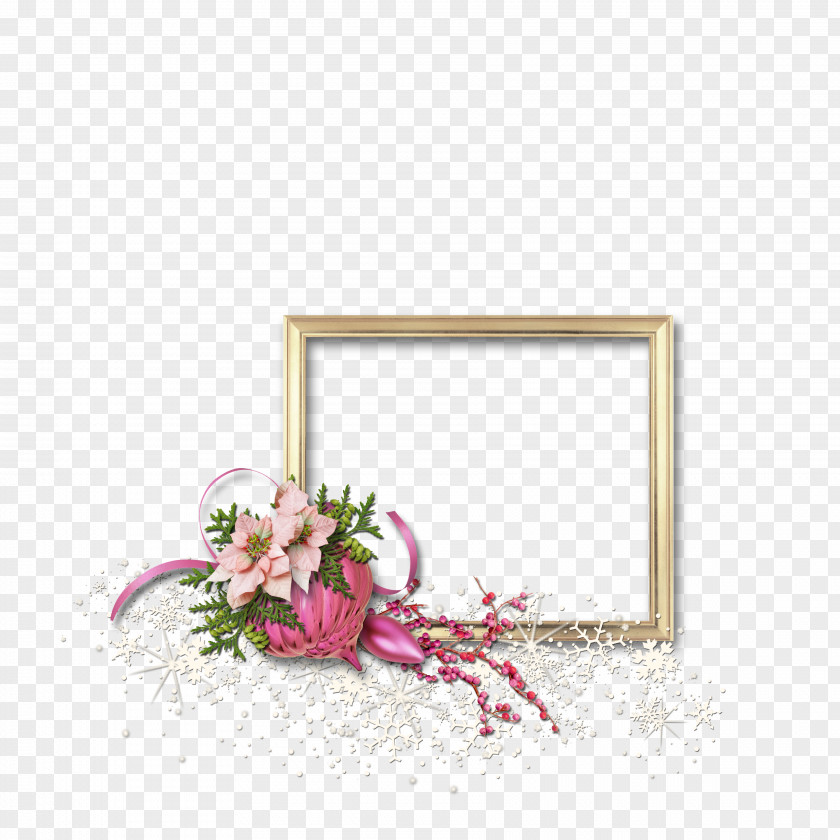 Lovely Frame Picture Frames PNG