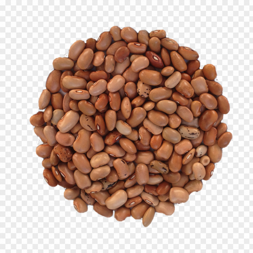 Pea Nut Legumes Bean Seed PNG