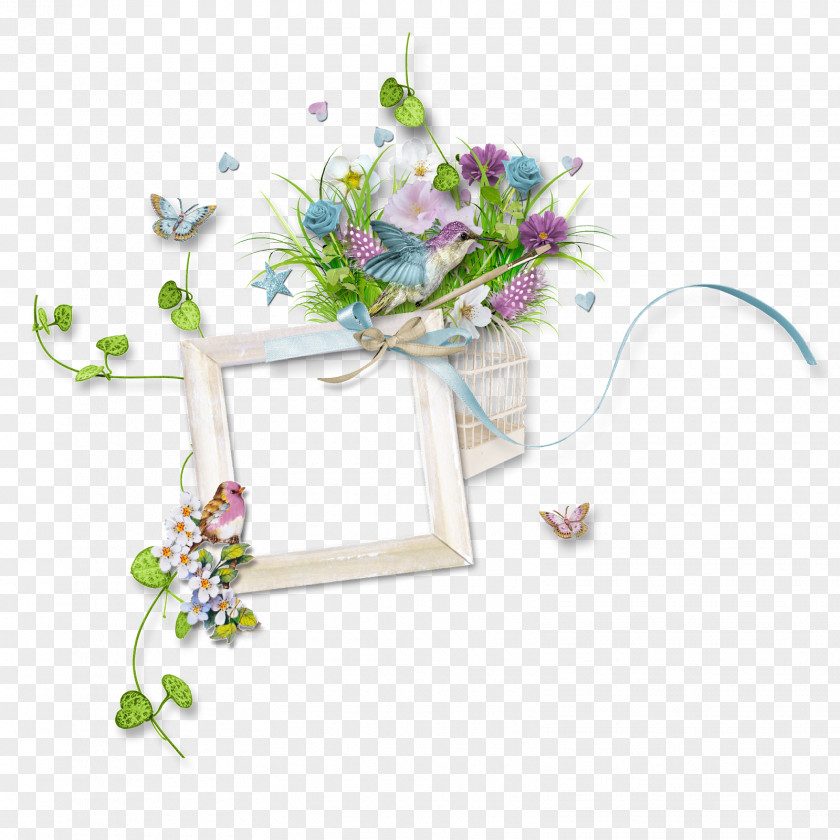 Picture Frames Adobe Photoshop Image Design Photography PNG