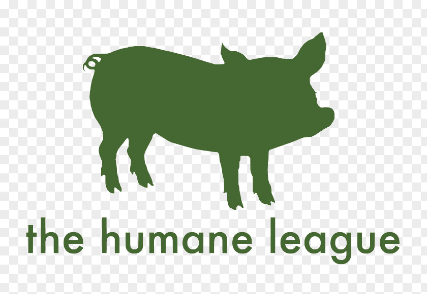 Vegan Outreach The Humane League Charitable Organization Animal Rights Non-profit Organisation PNG