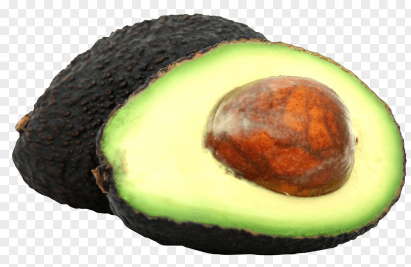 Avocado Clip Art PNG