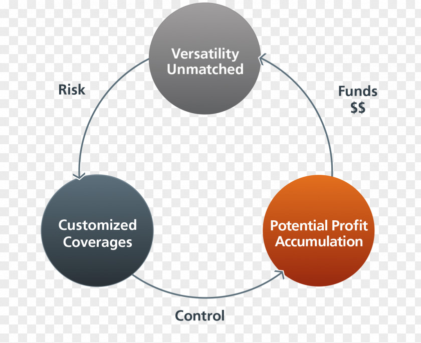 Business Risk Insurance Brand PNG