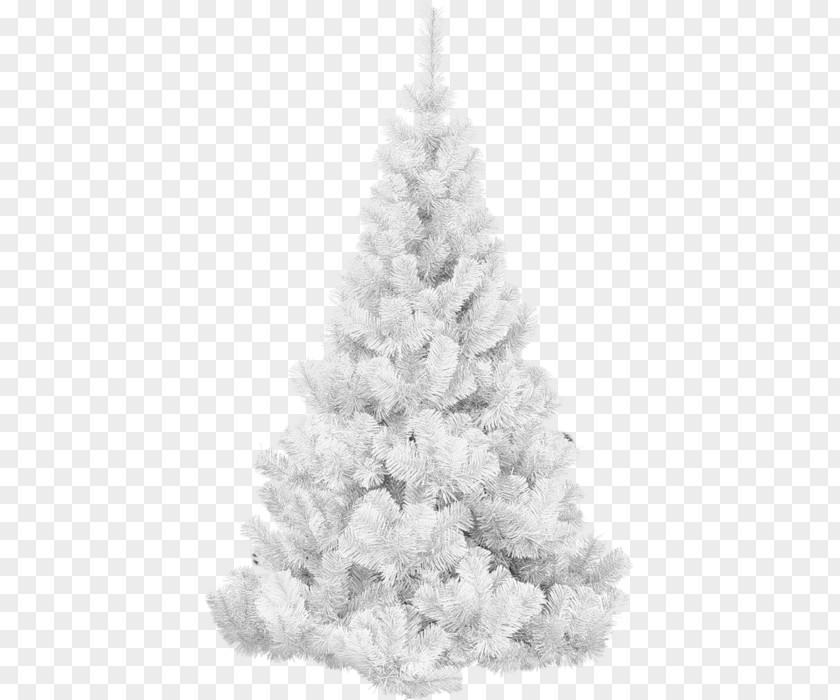 Christmas Tree Spruce PNG