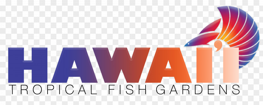 Hawaiian Hawaii Tropical Fish Gardens Goldfish Freshwater Pet PNG