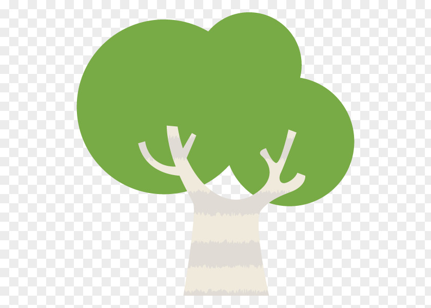 Illustration Tree Leaf Text Plants PNG