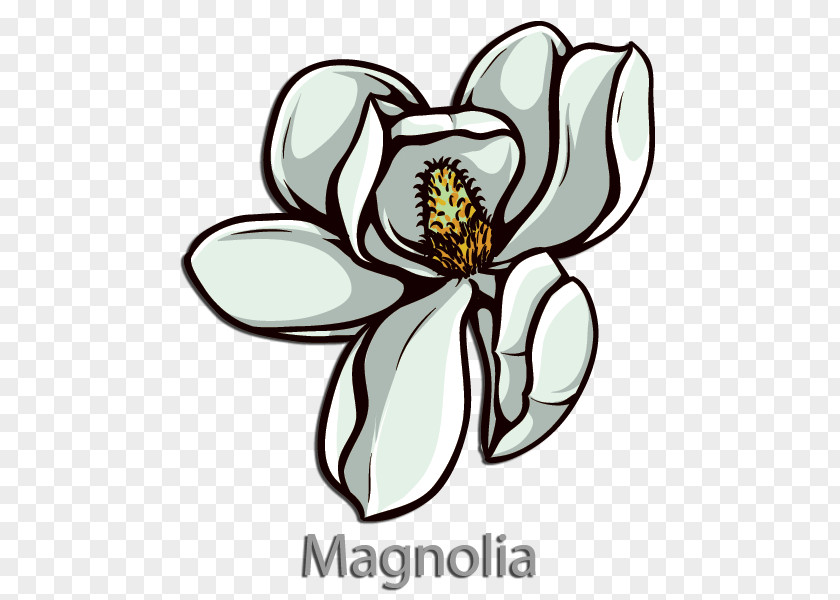 Magnolia Lexington, Virginia Washington College Kappa Alpha Order Flower Tau Omega PNG