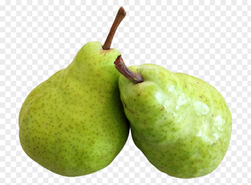 Pears Asian Pear Food Clip Art PNG