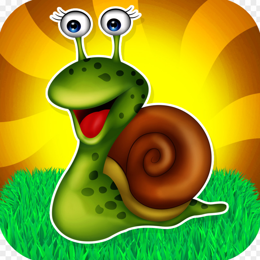 Snail Drawing Photography PNG