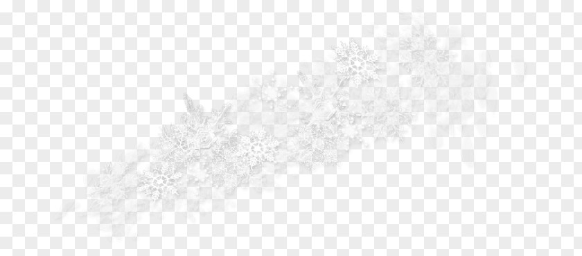 Computer White Desktop Wallpaper Fog Branching PNG