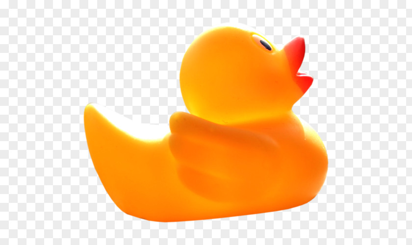 Duck Beak PNG