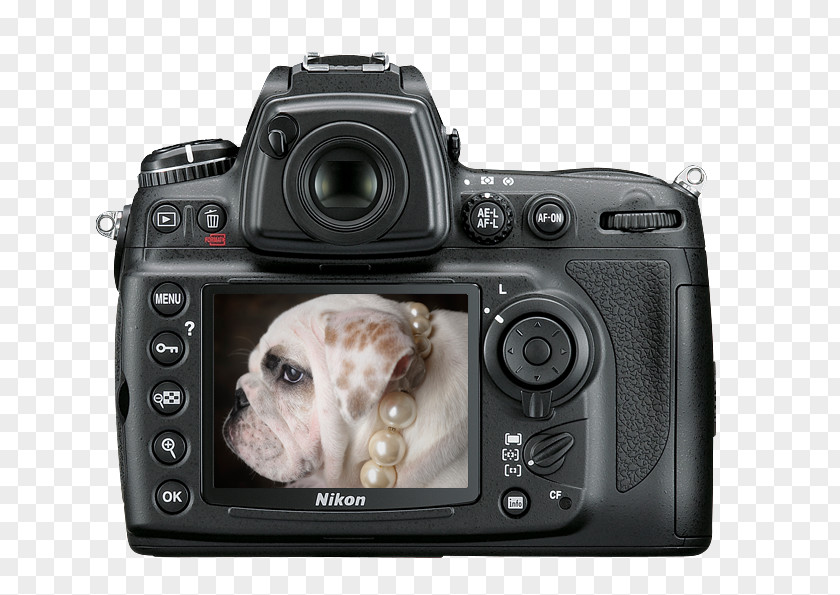 Europe And The United States Frame Nikon D7000 D3 Digital SLR Camera PNG