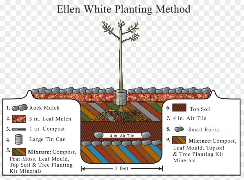 Tree Country Living Planting Sowing Gardening PNG