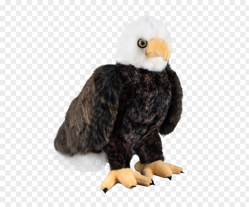 White House Bald Eagle Presidential State Car Seal Of The President United States Air Force One PNG