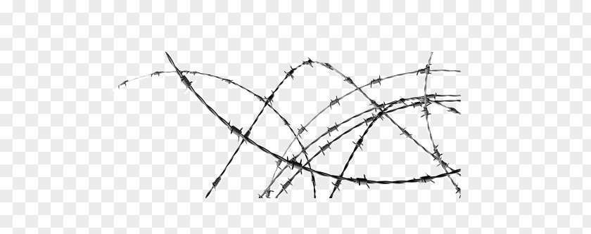 Barbed Wire Stock Photography PNG