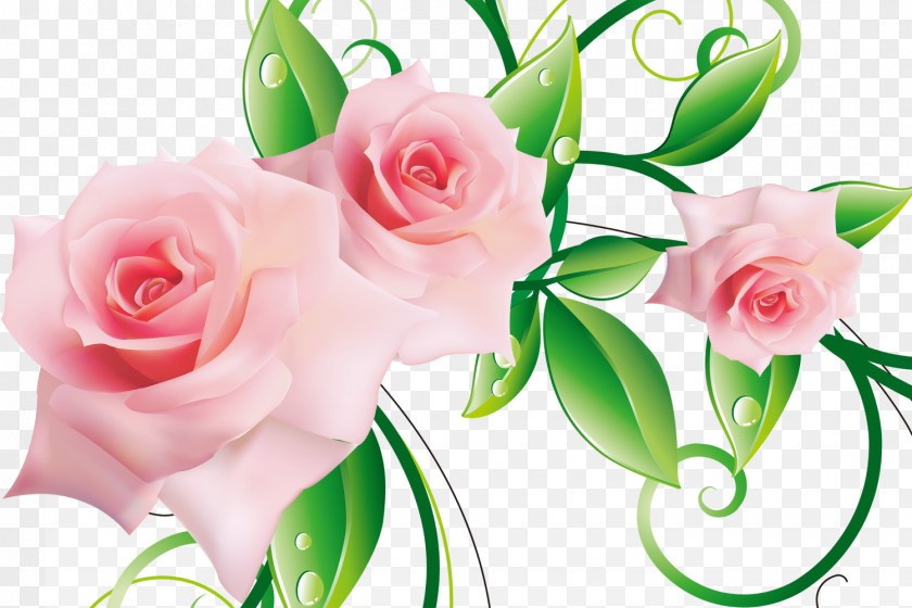 Pink Roses Garden Three-dimensional Space Flower PNG