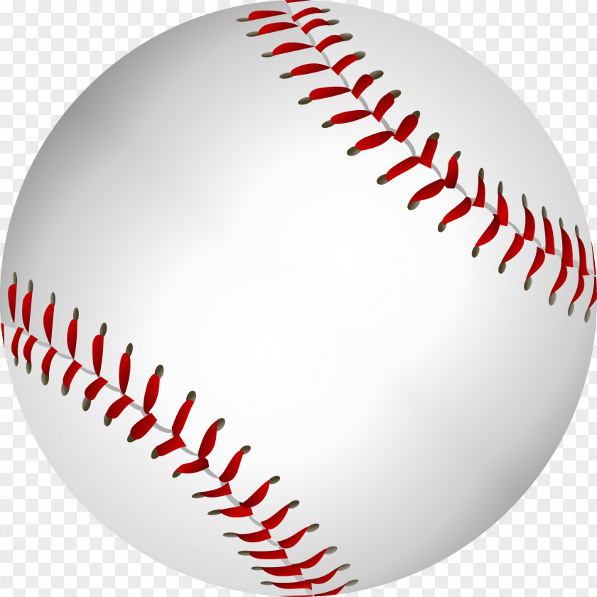 Vector Sports Equipment Baseball Softball PNG