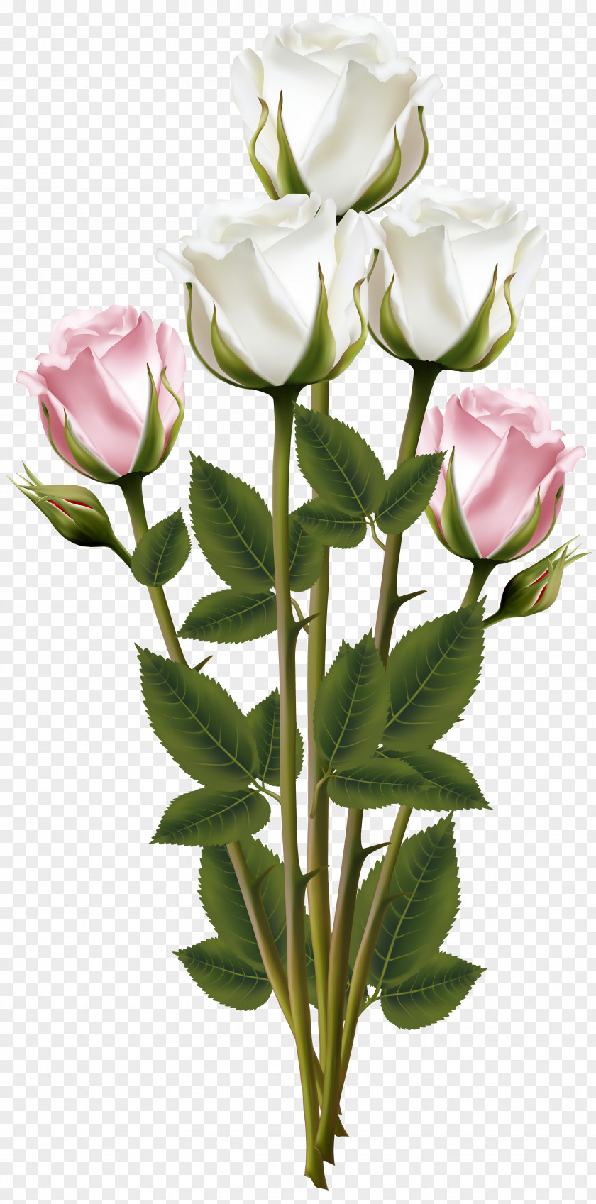 White And Pink Rose Bouquet Transparent Clip Art Image Flower PNG