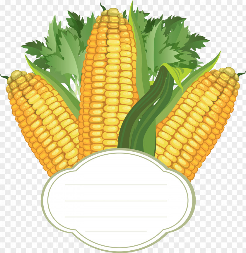 Corn On The Cob Vector Graphics Sweet PNG