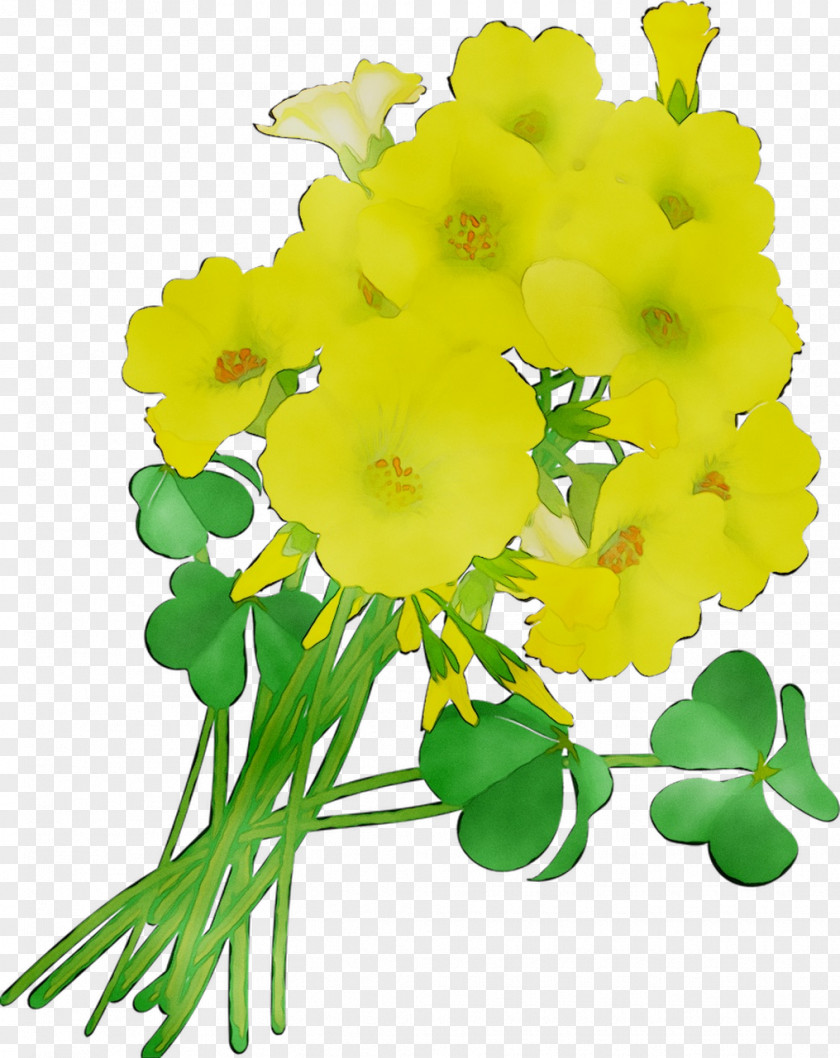 Cut Flowers Floral Design Yellow PNG