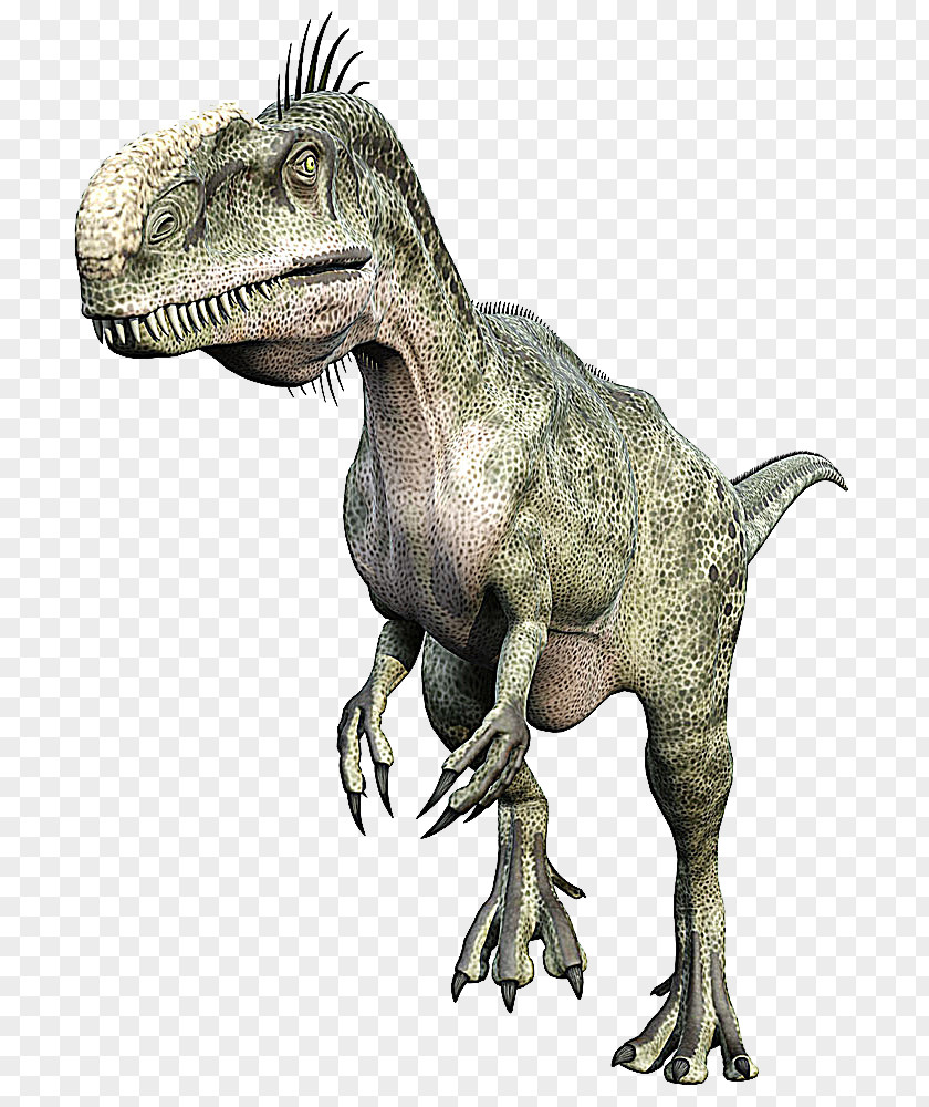 Dinosaur Stock Image Carnivores: Hunter Tyrannosaurus Ceratosaurus Sticker PNG