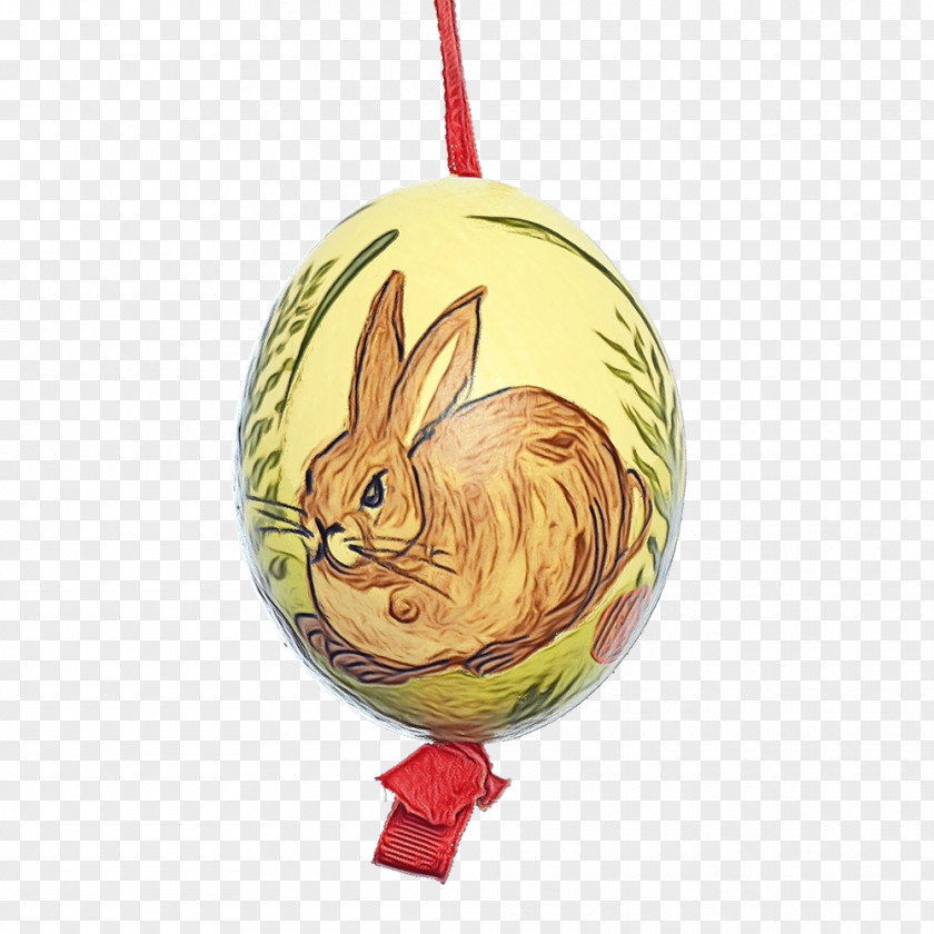 Easter Bunny Rabbits And Hares Egg PNG