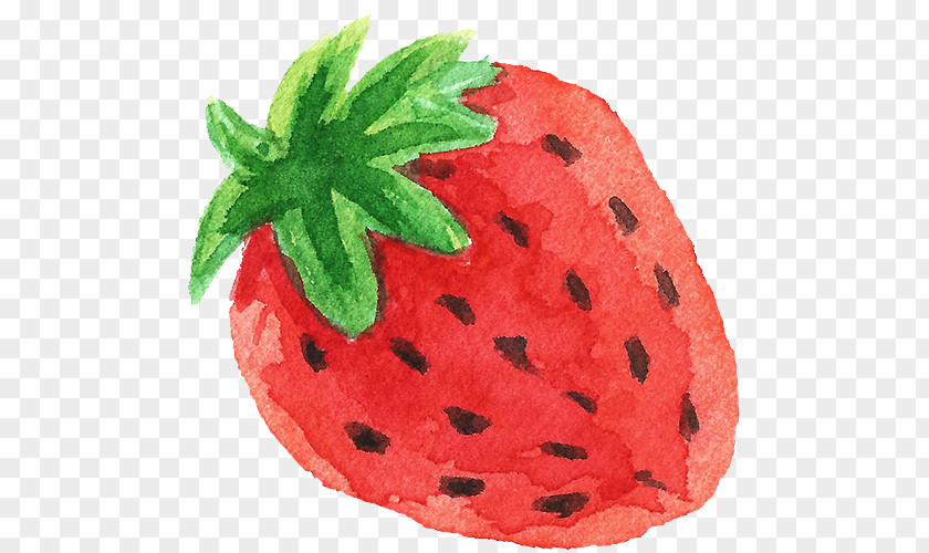 Hand Painted Transparent Watercolor Painting Strawberry Fruit PNG