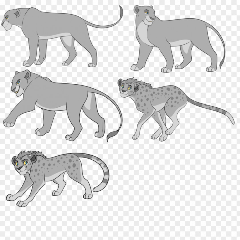 Lion Fight Cat Cheetah Mane Mammal PNG