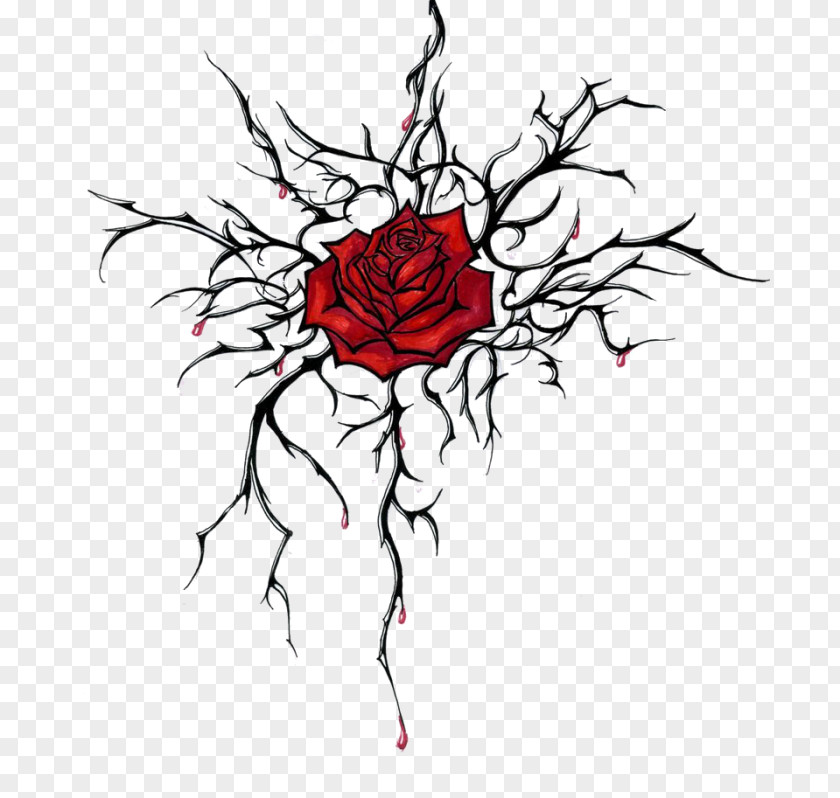 Rose Drawing Thorns, Spines, And Prickles Clip Art Image PNG