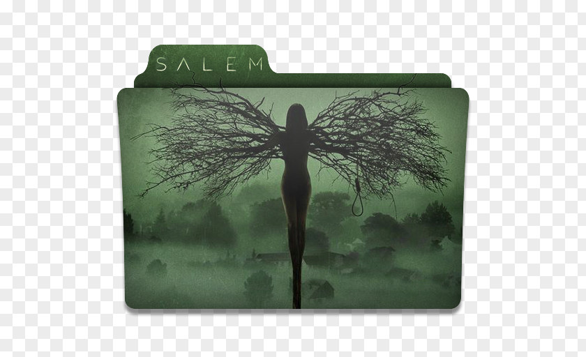 Salem Tree Grass Green PNG