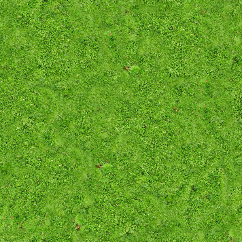 Carpet Vegetation Lawn Grassland Green PNG