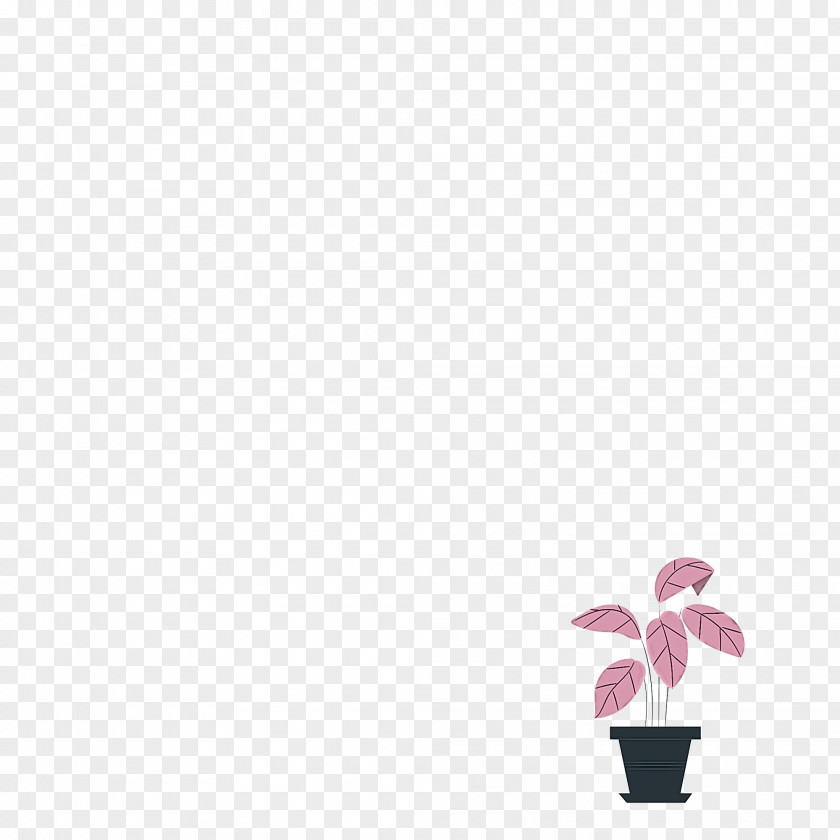 Flower Text Font Plants Science PNG