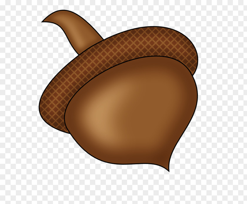 Hand-painted Acorn Brown Caramel Color PNG