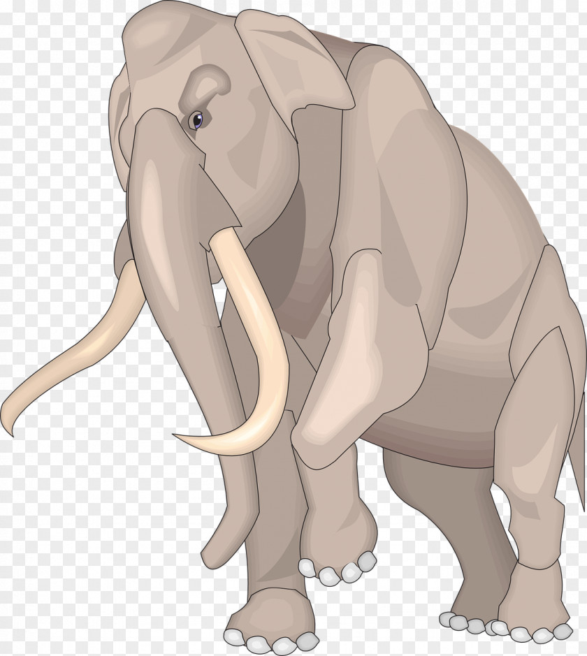 Elephany African Elephant Baby Indian Clip Art PNG