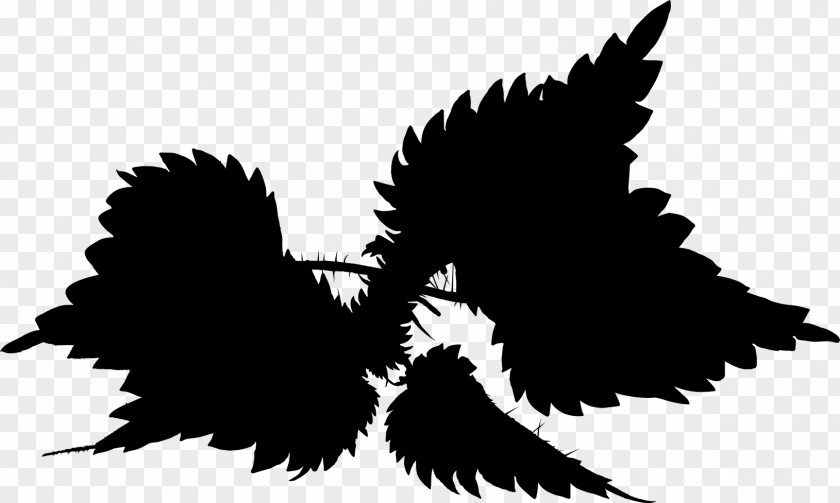 Font Silhouette Beak Sky PNG