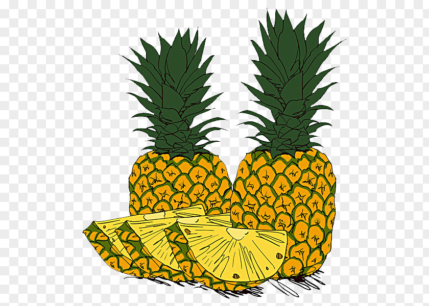 Hand-painted Pineapple Nago Park Fruit Photography Illustration PNG