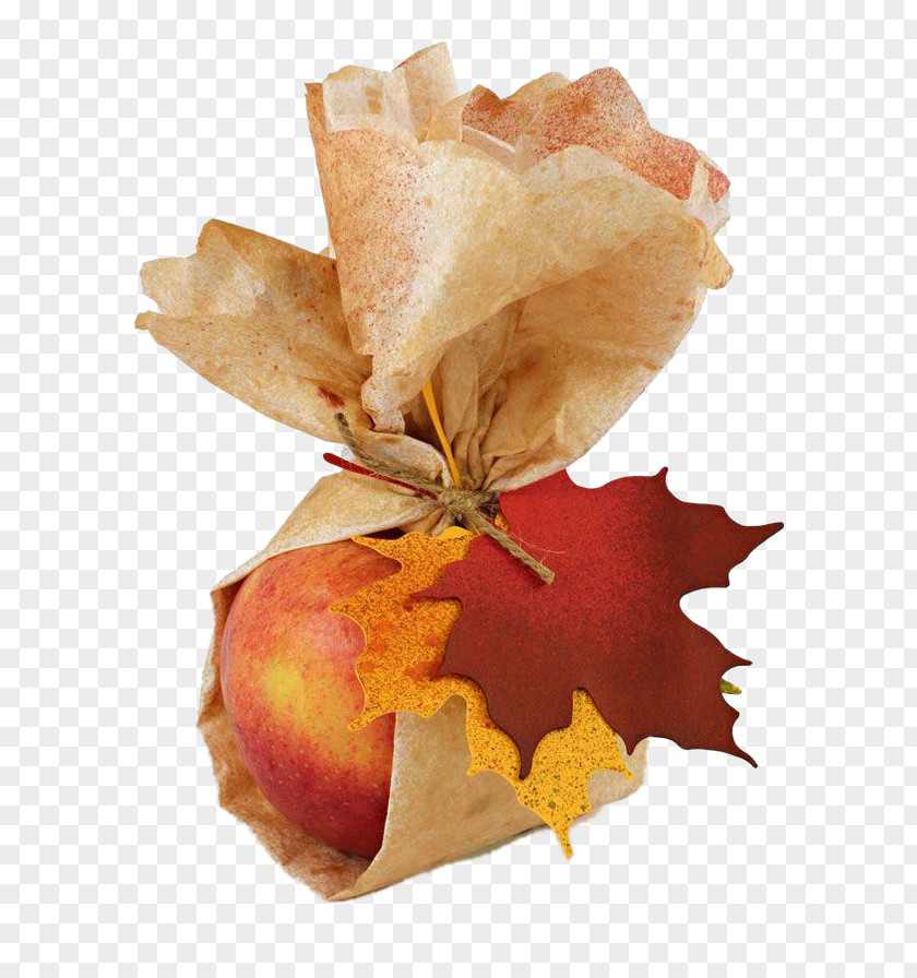 Oil Wrap Apples Paper Autumn Gift Leaf PNG
