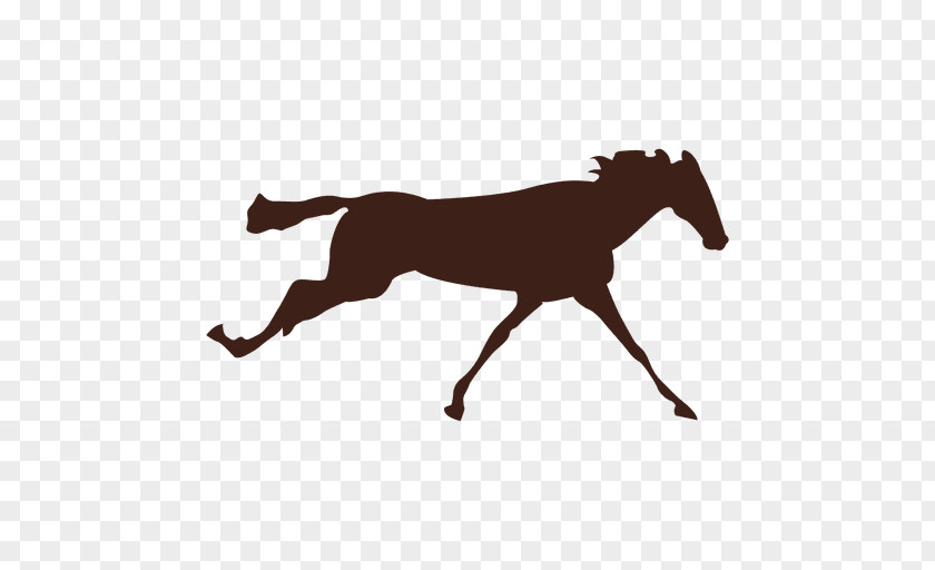 Sequence Vector Horse Stallion Colt Gallop Pony PNG