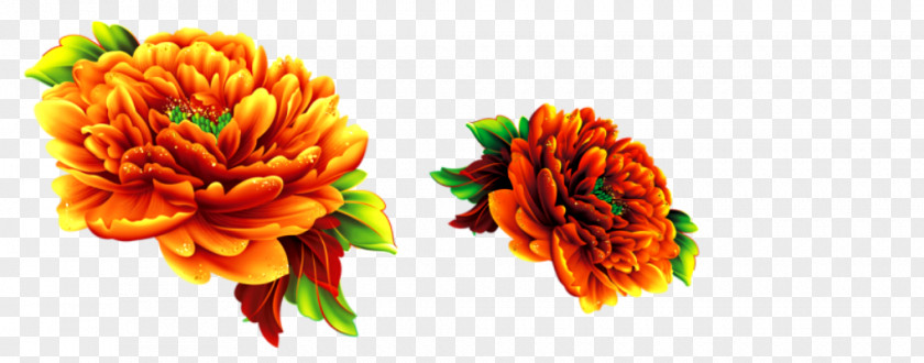 Decorative Chrysanthemum Flower PNG