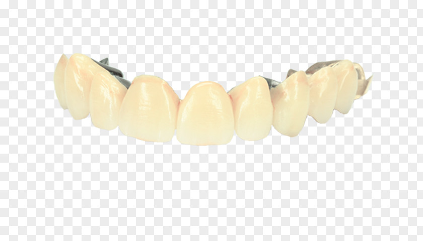 Dental Technician Bracelet PNG