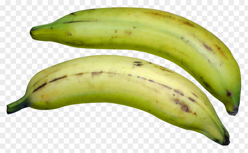 Green Plantain Cooking Banana Colombian Cuisine French Fries PNG
