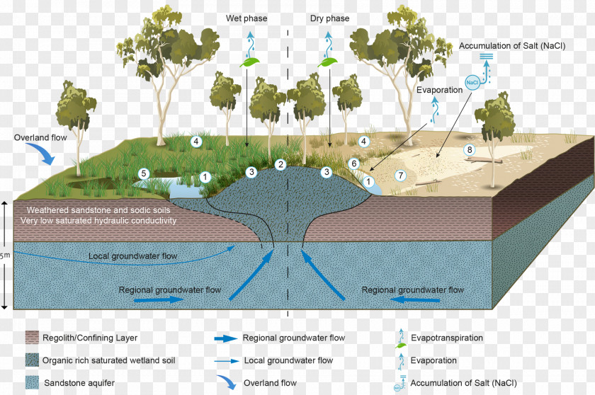 Material Science Wetland Groundwater-dependent Ecosystems Aquifer Water Resources PNG