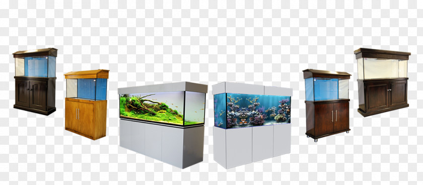 Monaco Pet & Aquarium Trans Aquariums Online Fish PNG