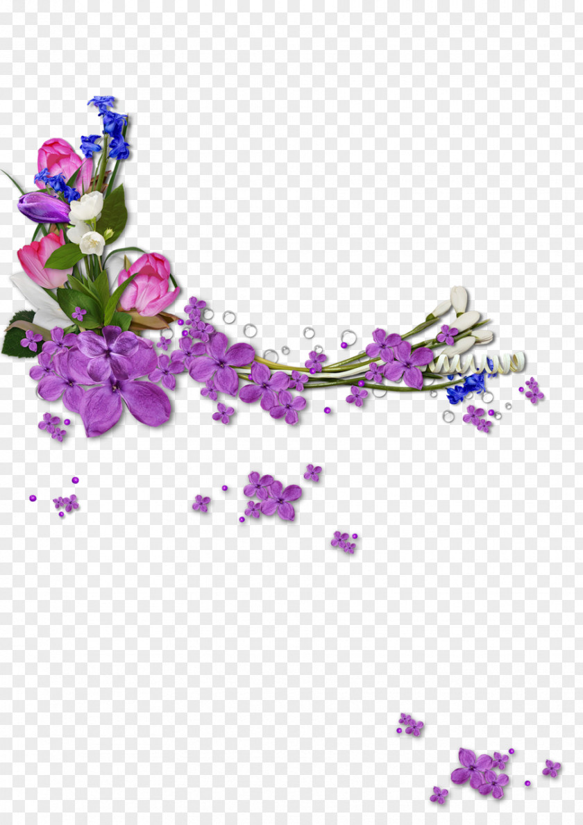 Petal Delphinium Lavender PNG