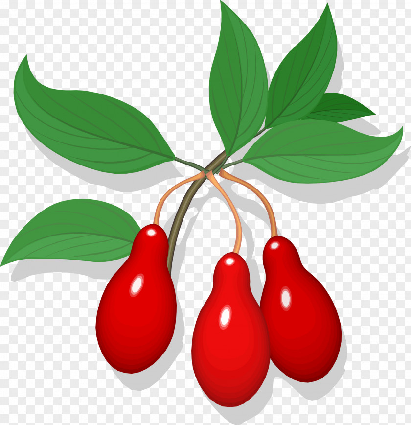 Pomegranate Fruit Food Cherry Clip Art PNG