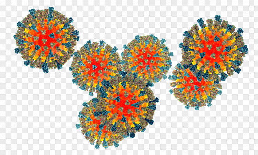 Virus Measles Human Parainfluenza Viruses PNG