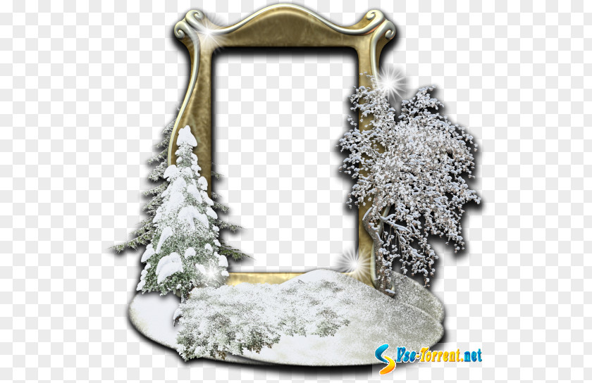 Winter Picture Frames Photography Christmas Day Cadre D'entreprise PNG