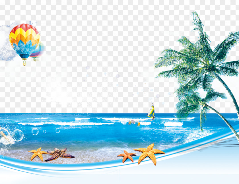 Beach 1 Fundal Poster PNG
